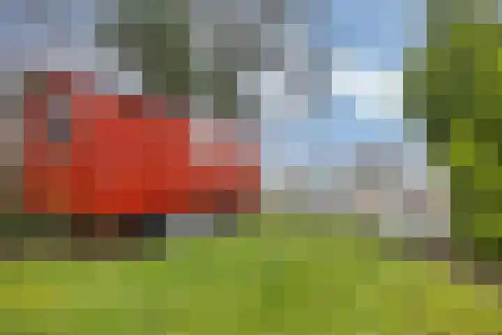 Stationsweg 14 Stavoren thumbnail 25