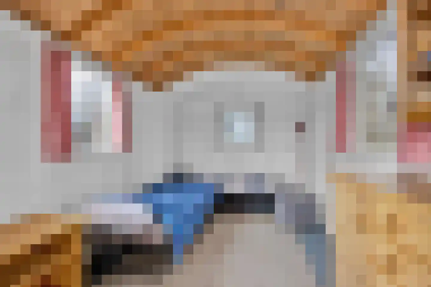 Stationsweg 14 Stavoren thumbnail 28