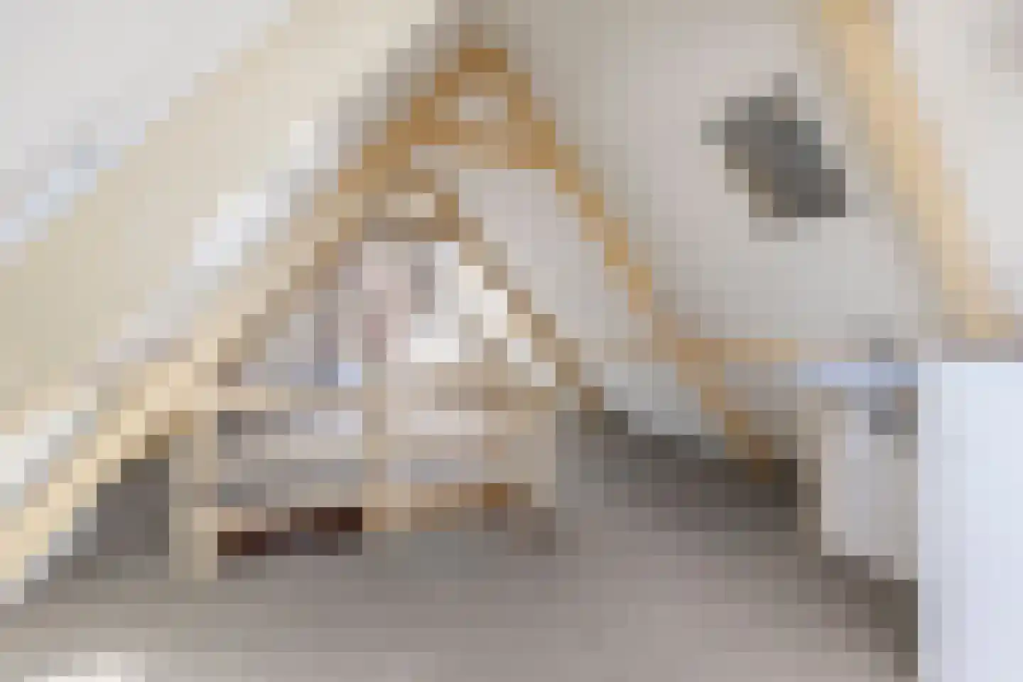 Stationsweg 144 Alkmaar thumbnail 29