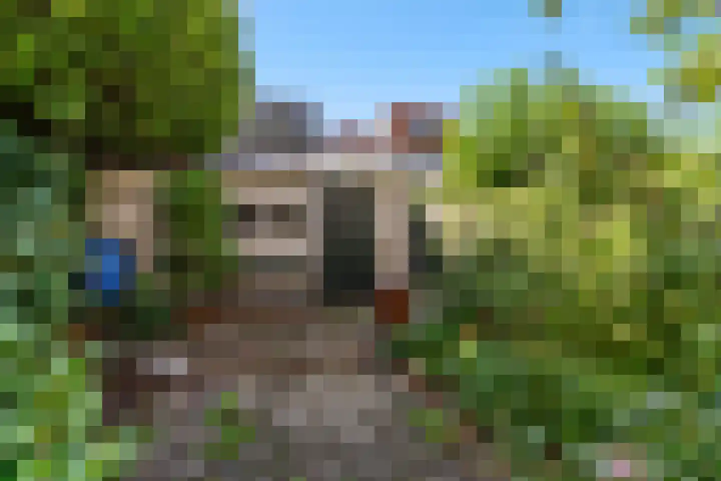 Stationsweg 144 Alkmaar thumbnail 35