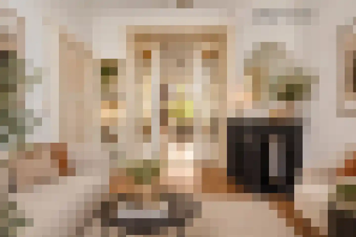 Stationsweg 144 Alkmaar thumbnail 4