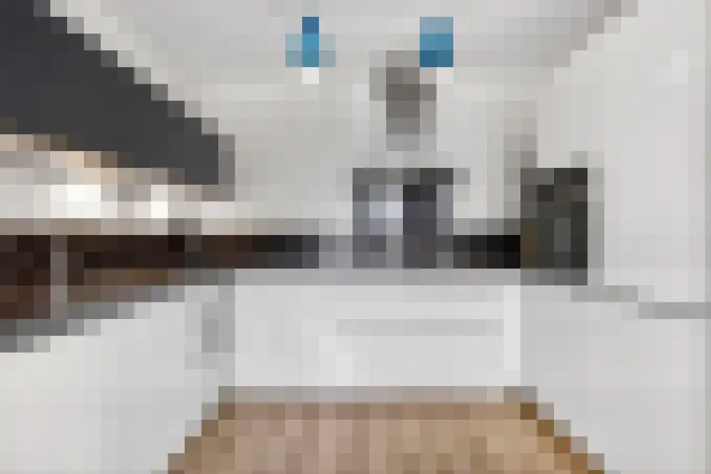 Stationsweg 144 Ede thumbnail 17