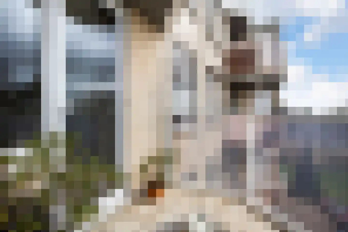 Stationsweg 144 Ede thumbnail 32