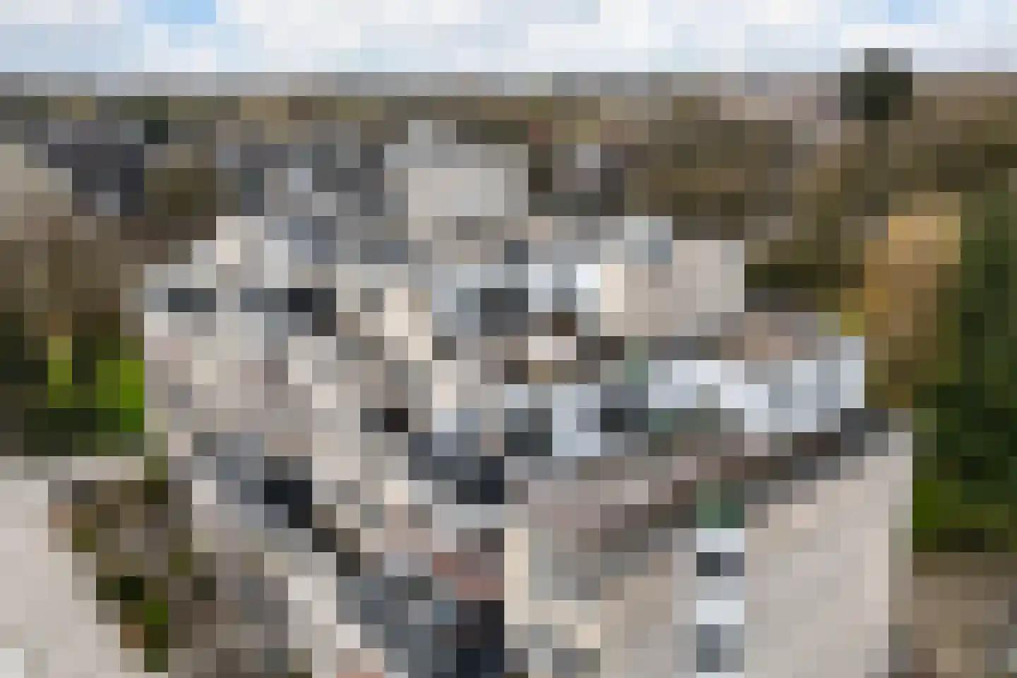 Stationsweg 144 Ede thumbnail 38