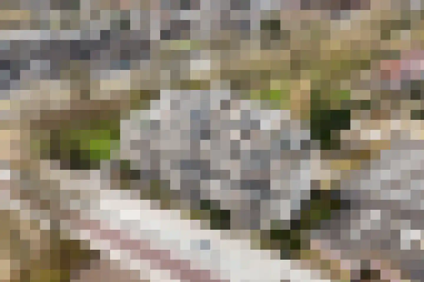 Stationsweg 144 Ede thumbnail 40
