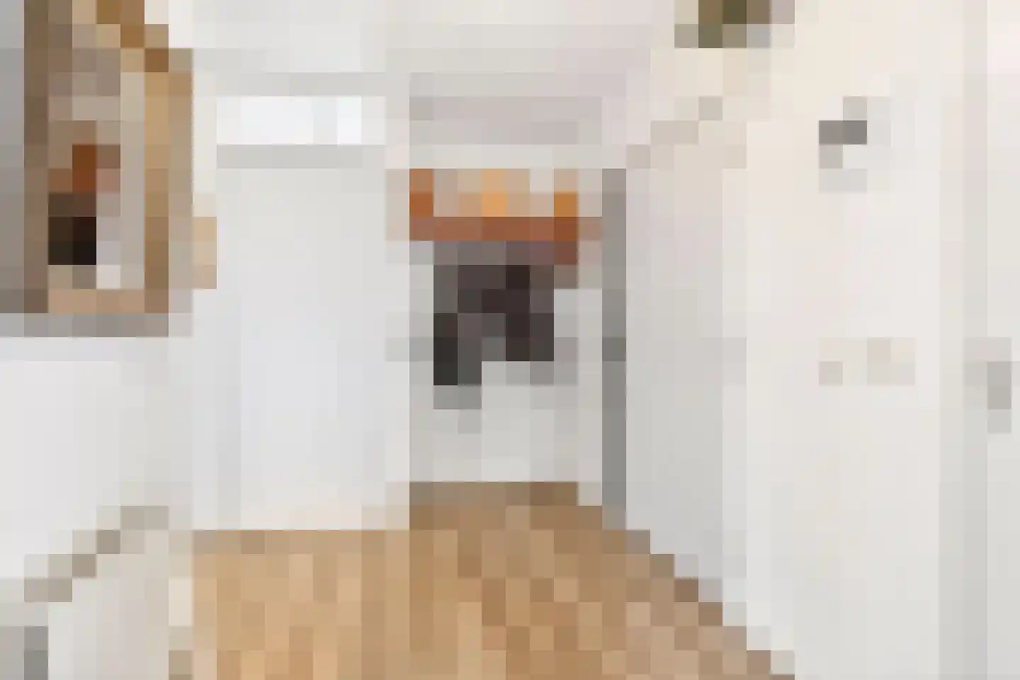 Stationsweg 144 Ede thumbnail 6