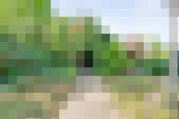 Stationsweg 15 Mariënberg thumbnail 12