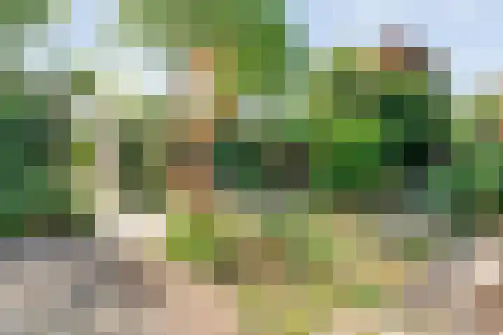 Stationsweg 15 Mariënberg thumbnail 13