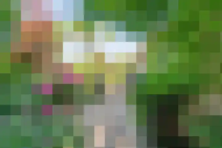 Stationsweg 15 Mariënberg thumbnail 41