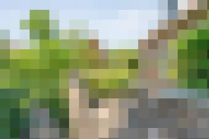 Stationsweg 15 Mariënberg thumbnail 42