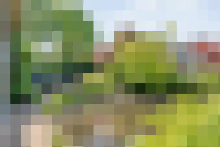 Stationsweg 15 Mariënberg thumbnail 43