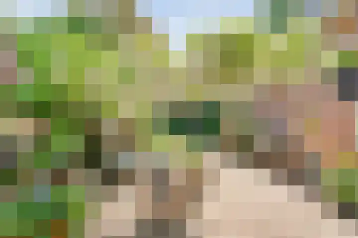 Stationsweg 15 Mariënberg thumbnail 46