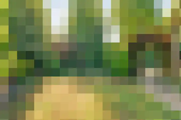 Stationsweg 15 Mariënberg thumbnail 49