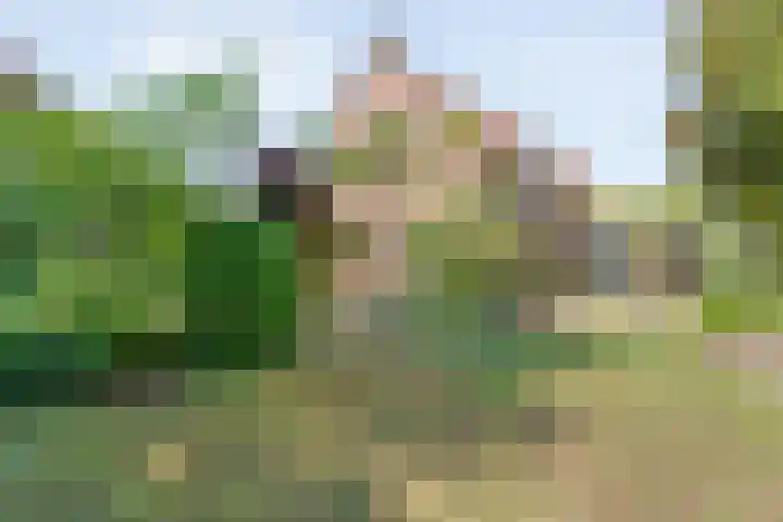 Stationsweg 15 Mariënberg thumbnail 50