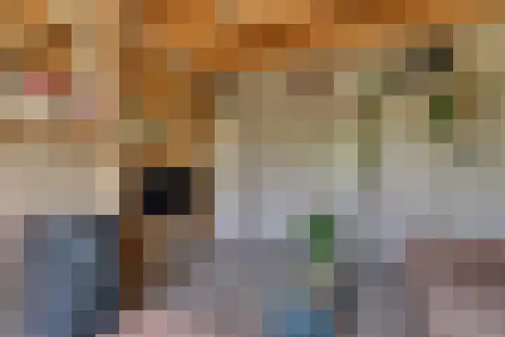 Stationsweg 15 Schagen thumbnail 12