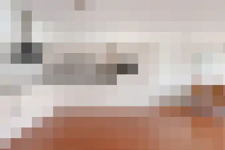 Stationsweg 150 Heiloo thumbnail 11
