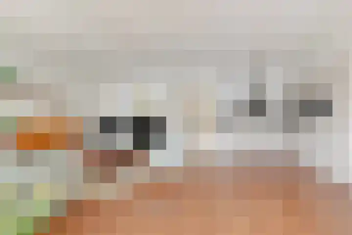 Stationsweg 150 Heiloo thumbnail 9