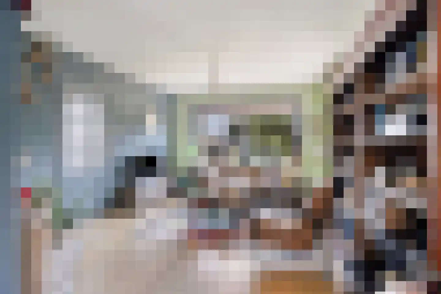 Stationsweg 16 Blije thumbnail 10