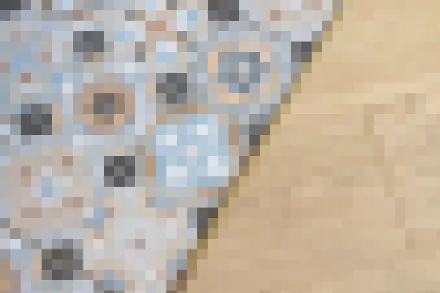 Stationsweg 16 Blije thumbnail 12