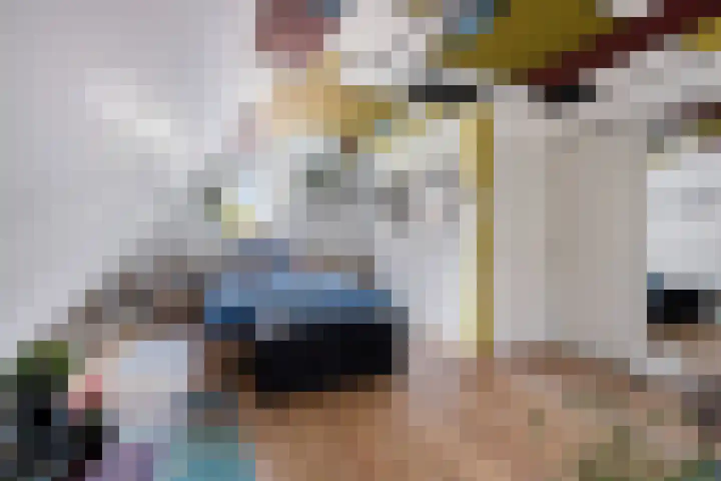 Stationsweg 16 Blije thumbnail 18