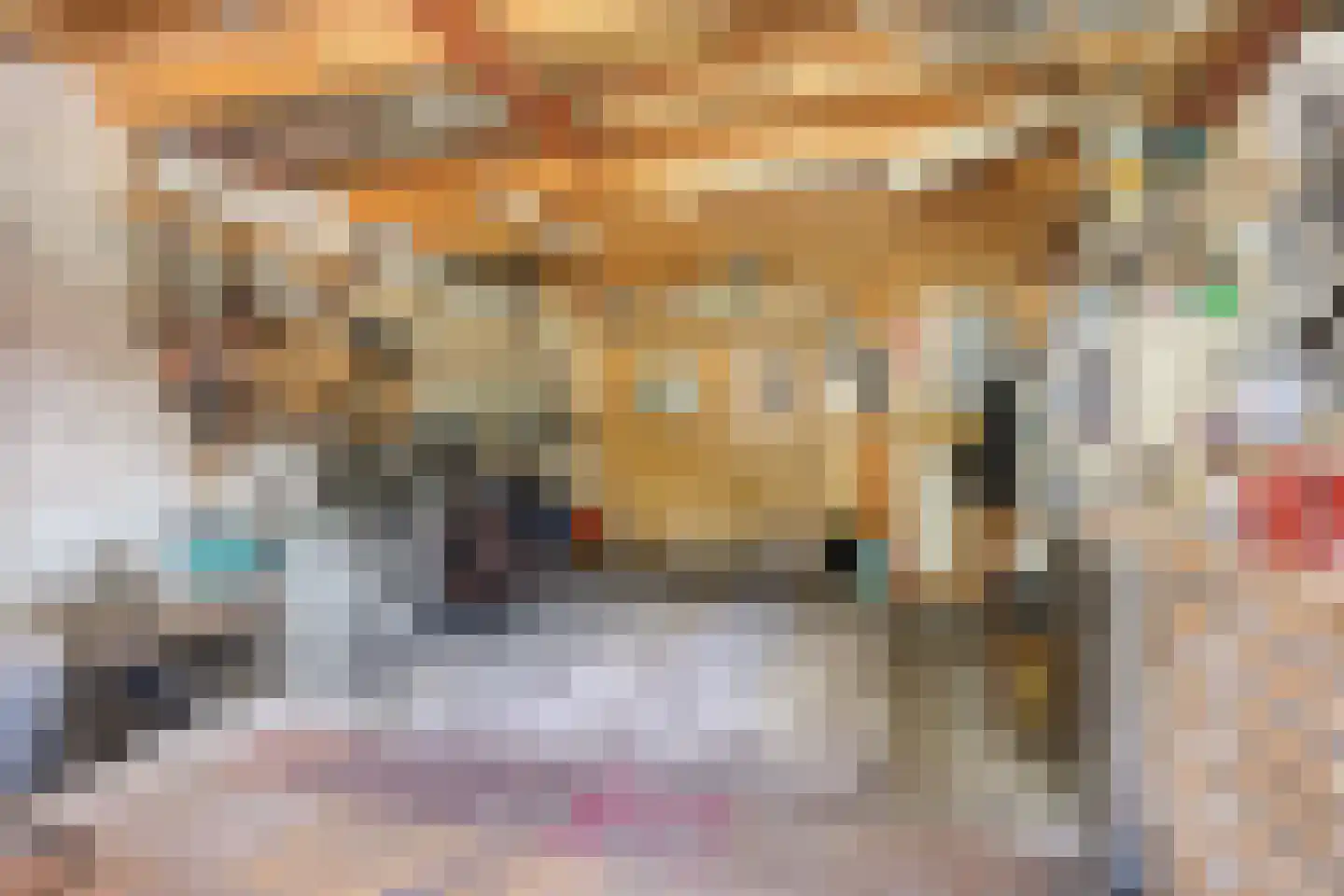 Stationsweg 16 Blije thumbnail 25