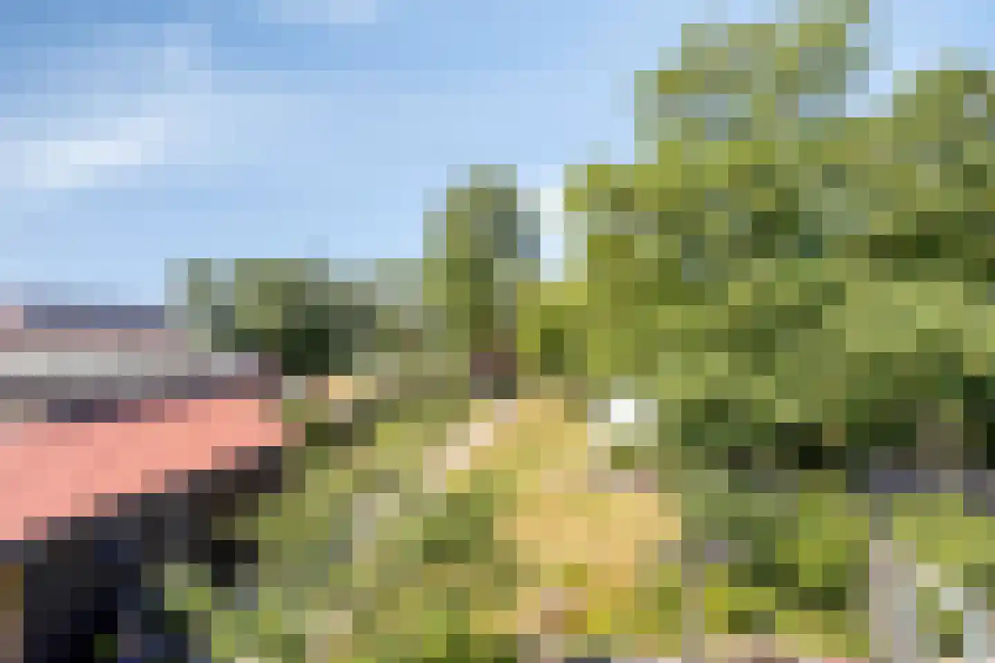 Stationsweg 16 Blije thumbnail 31