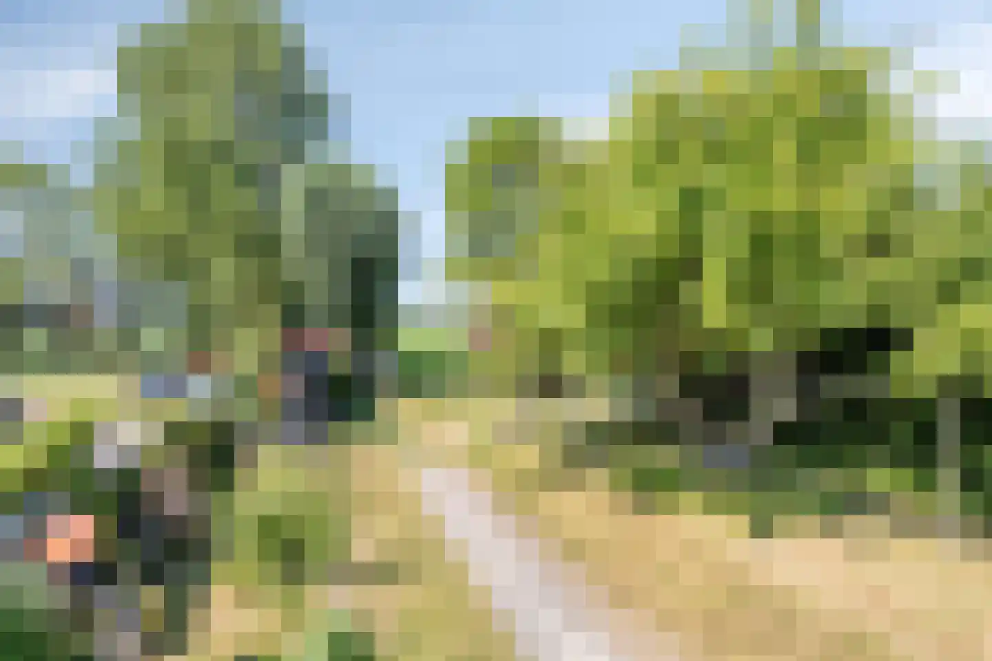 Stationsweg 16 Blije thumbnail 33