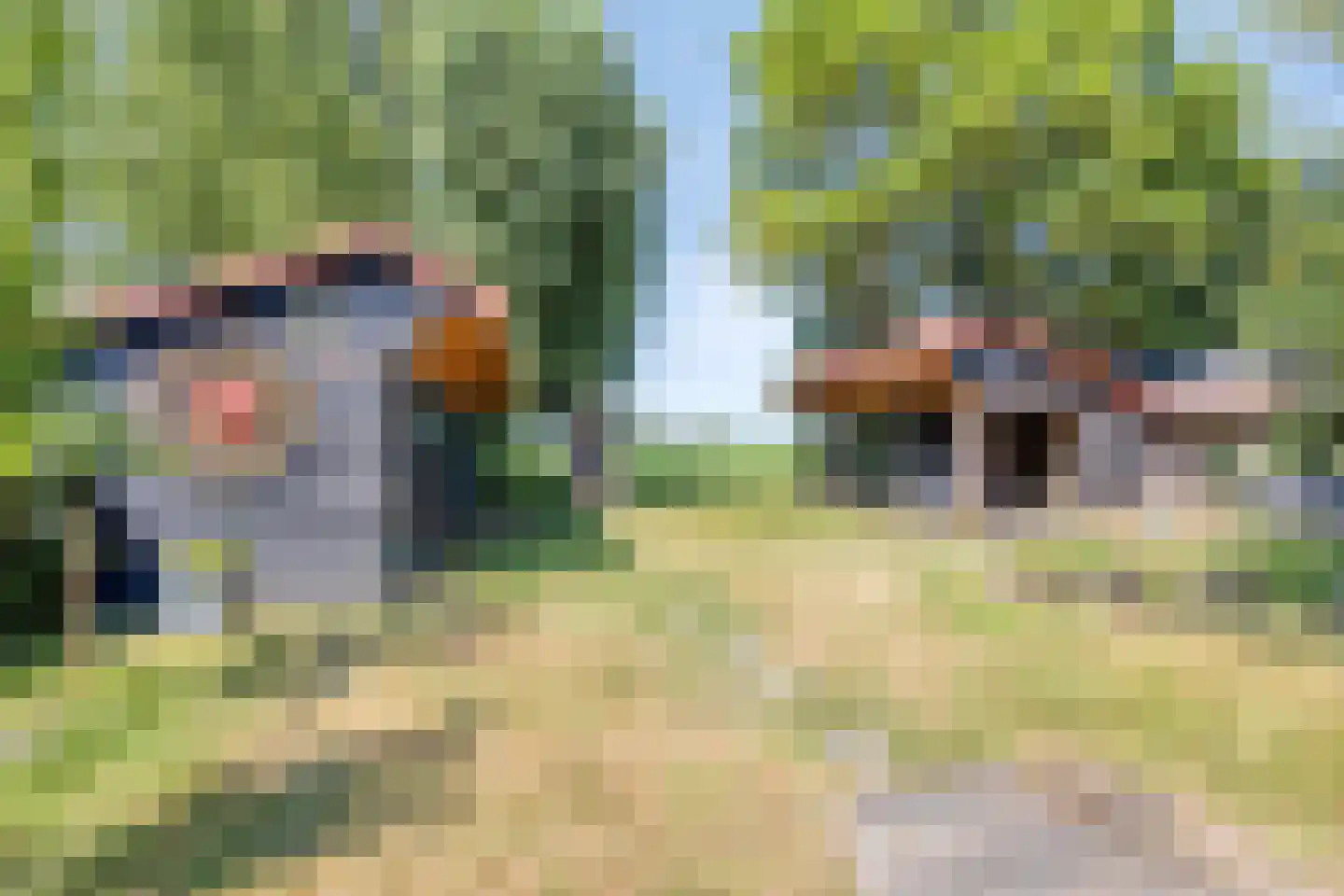 Stationsweg 16 Blije thumbnail 34