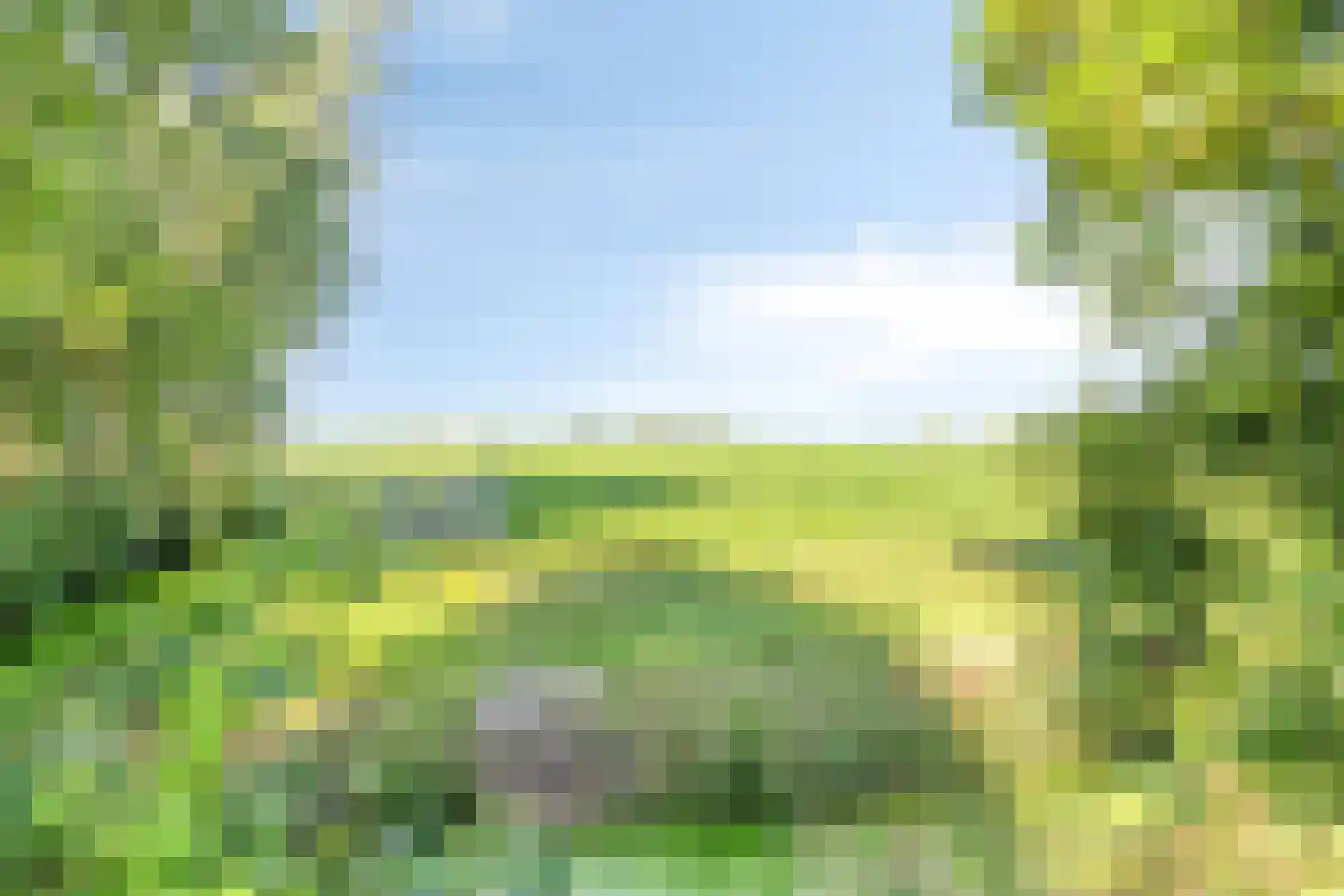 Stationsweg 16 Blije thumbnail 35