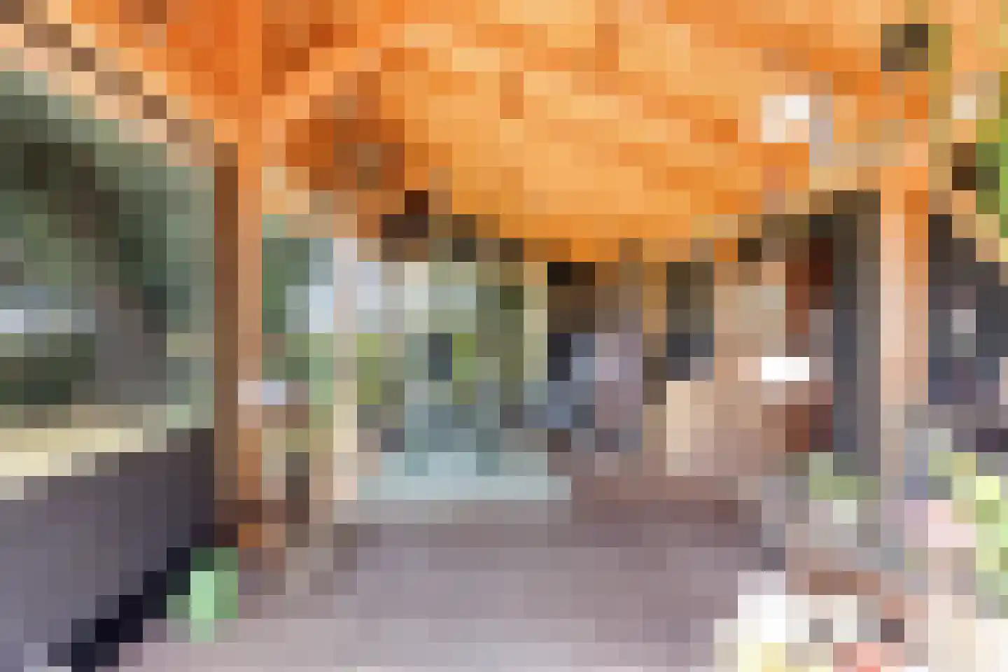 Stationsweg 16 Blije thumbnail 36