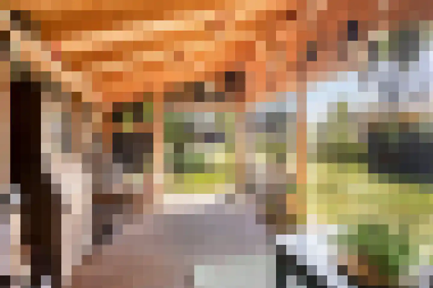 Stationsweg 16 Blije thumbnail 37