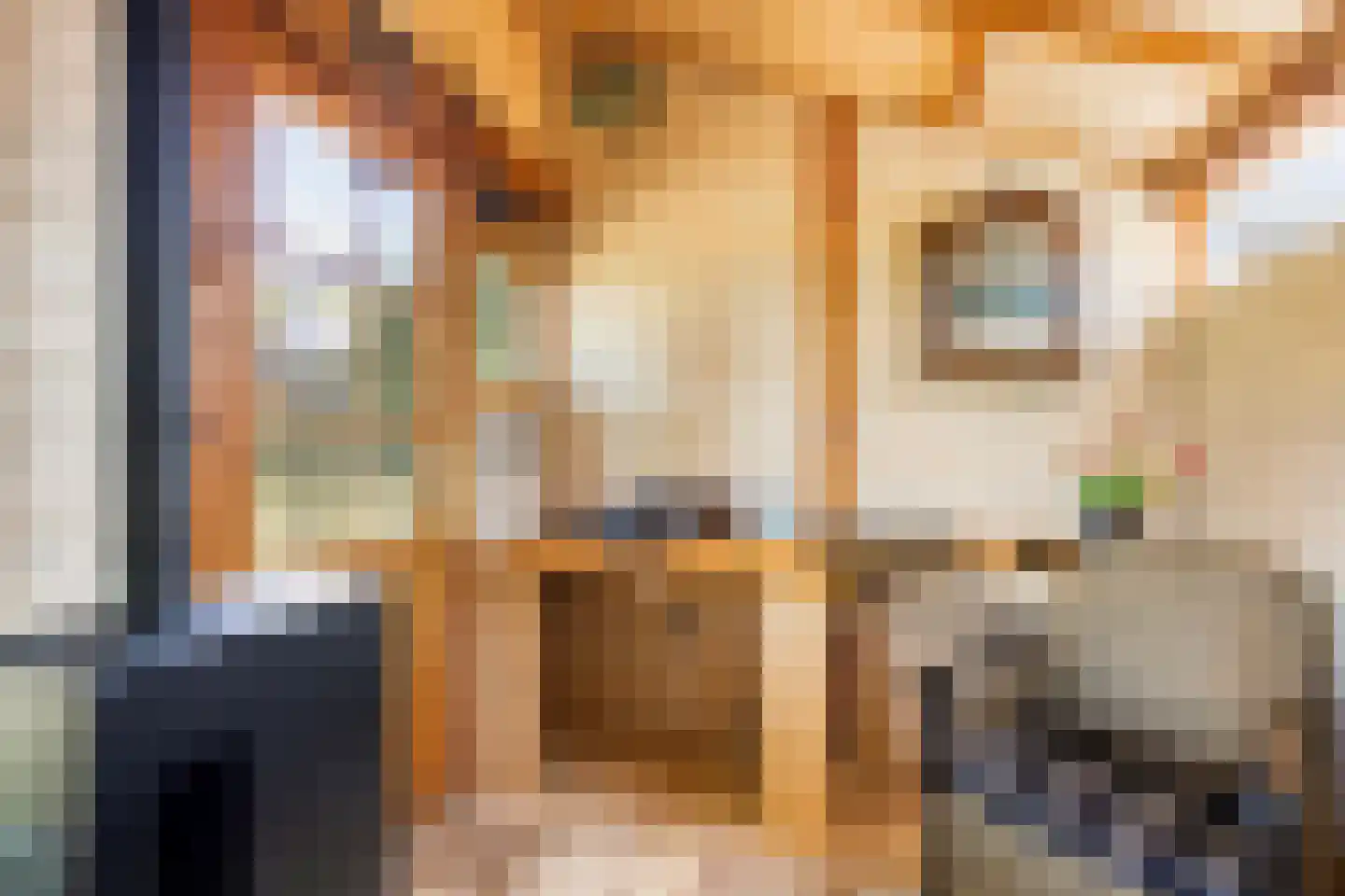 Stationsweg 16 Blije thumbnail 39