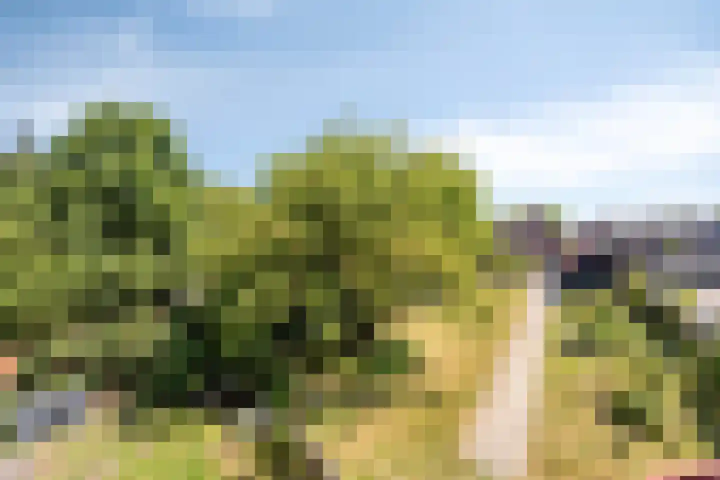 Stationsweg 16 Blije thumbnail 43