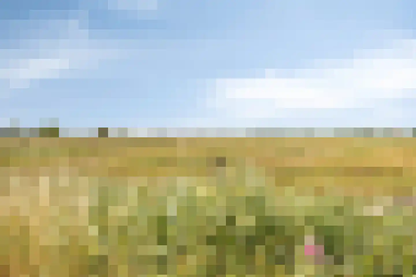 Stationsweg 16 Blije thumbnail 49