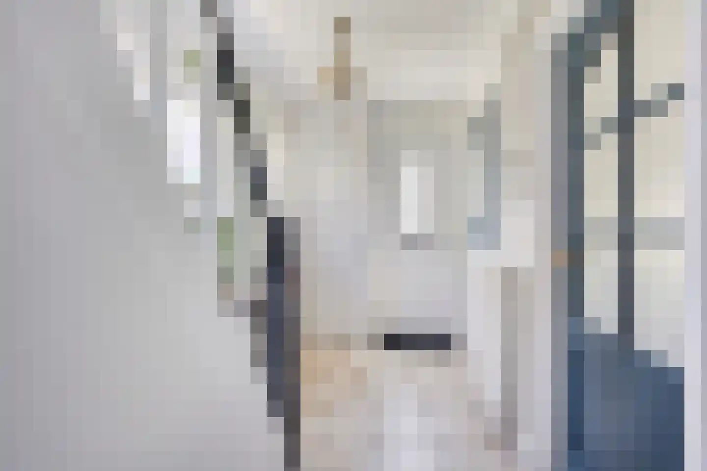 Stationsweg 16 Blije thumbnail 5