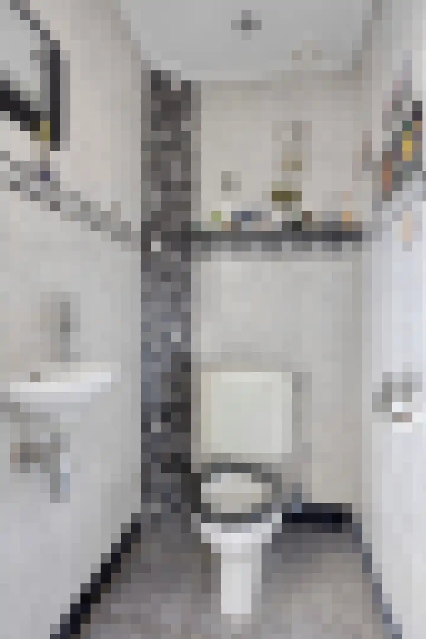 Stationsweg 16 Blije thumbnail 6