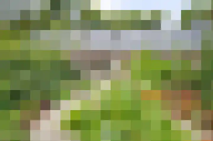 Stationsweg 16 Brummen thumbnail 14