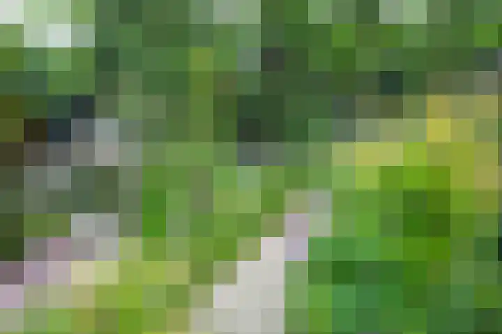 Stationsweg 16 Brummen thumbnail 15