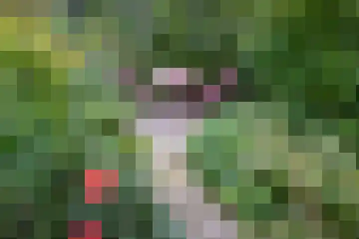 Stationsweg 16 Brummen thumbnail 16