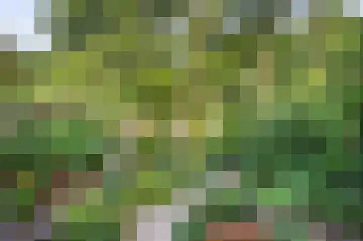 Stationsweg 16 Brummen thumbnail 19