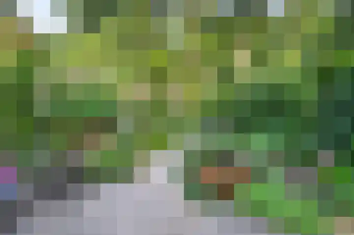 Stationsweg 16 Brummen thumbnail 20