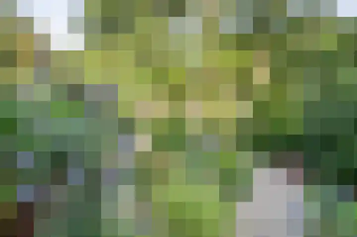 Stationsweg 16 Brummen thumbnail 21