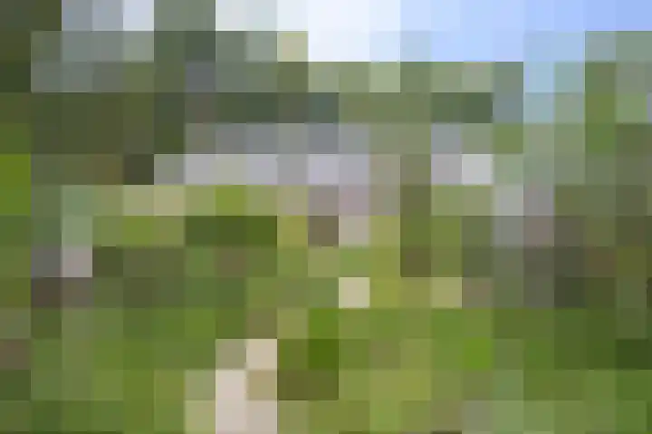 Stationsweg 16 Brummen thumbnail 22