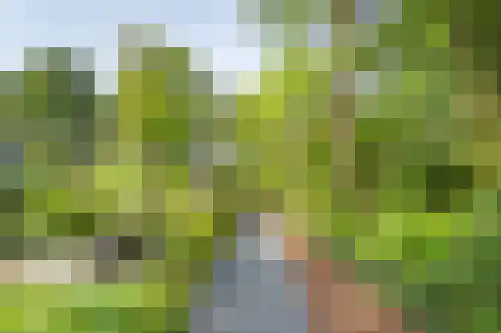 Stationsweg 16 Brummen thumbnail 32