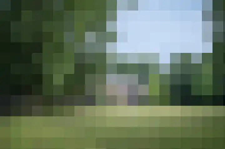 Stationsweg 16 Brummen thumbnail 33