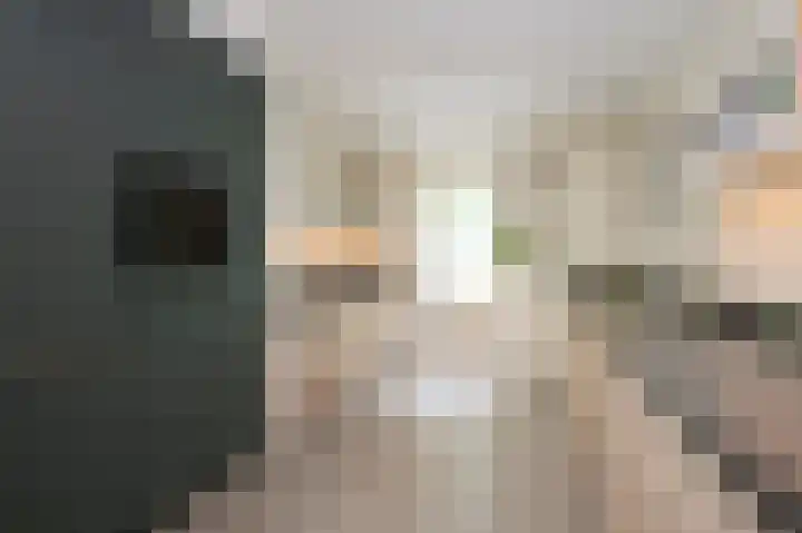 Stationsweg 16 Brummen thumbnail 8