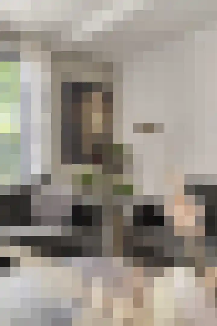 Stationsweg 16 Heinkenszand thumbnail 10