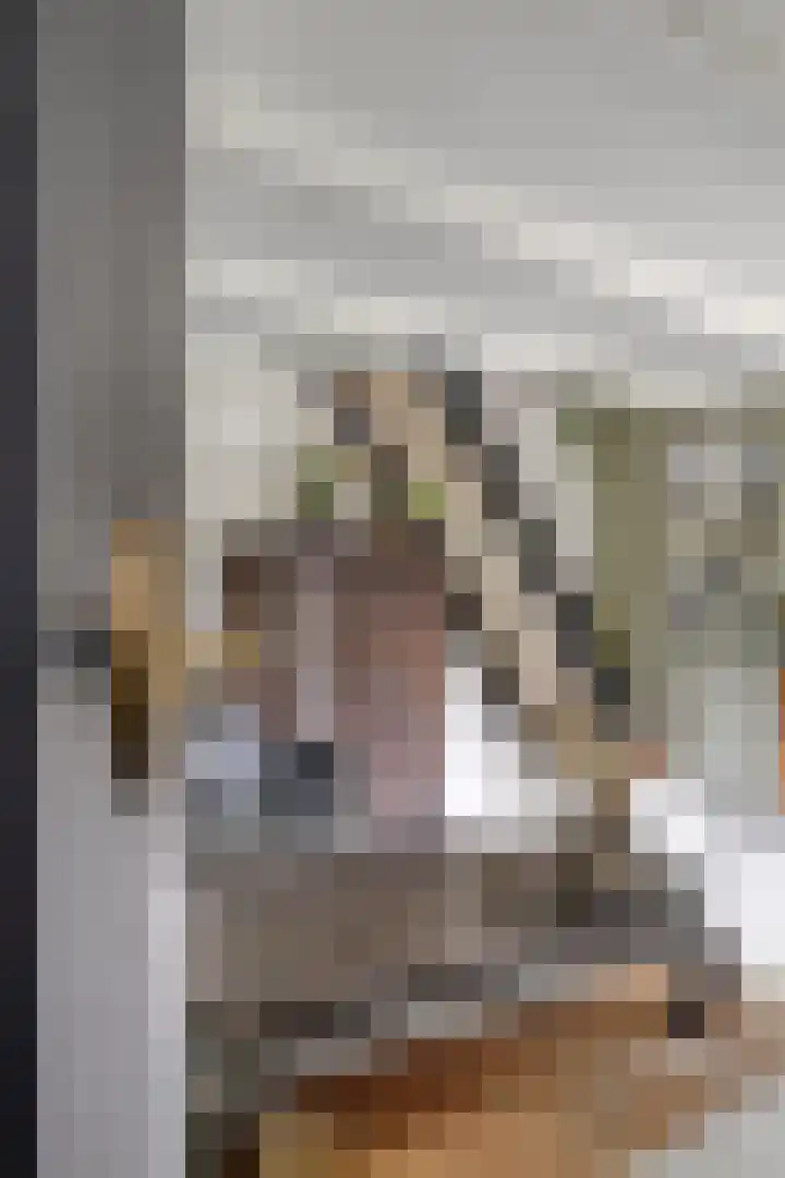 Stationsweg 16 Heinkenszand thumbnail 12