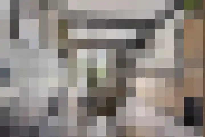 Stationsweg 16 Heinkenszand thumbnail 16