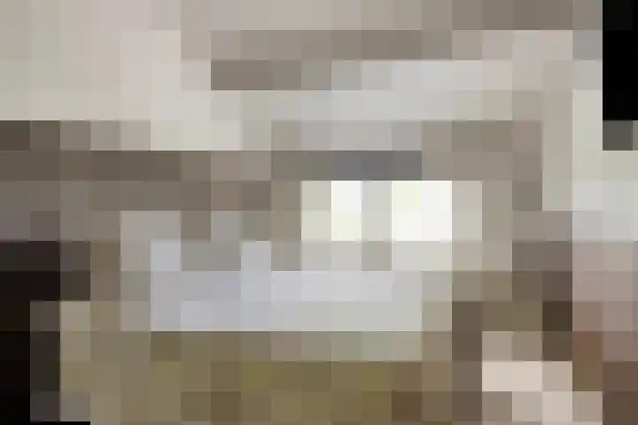 Stationsweg 16 Heinkenszand thumbnail 22